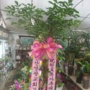충주화원 이미지