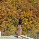 삼리2길 | [양산 단풍 카페] 가을 단풍 맛집 대형 베이커리 카페, 아미드포레 후기