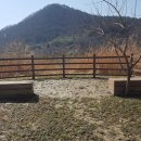 영산강 따라 걷기6(나주대교-영산포-죽산보) 이미지