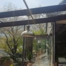 피자포레스트 이미지