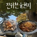[평택 진위] 진위천유원지에서 고기 먹기&amp;레일바이크 탑승 후기