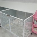 루비 애견샵 이미지