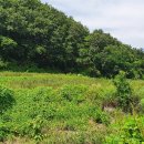 영천시임고면사리보건진료소 이미지