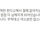 지구촌이 빈대로 골치…“올림픽이 변수” 이미지