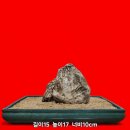 소음과 신호/ 바위경 이미지