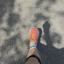 월평지 | 한강 러닝 한 달 후기 (5-10km, 평지코스포함)