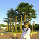 가을노을C 이미지