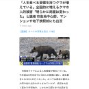 일본 곰 문제 자세히 알아보니까 무섭네 이미지