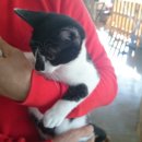 영흥약국 이미지