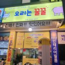 오리는꿀꿀