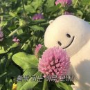 힐링그루밍 네이버블로그