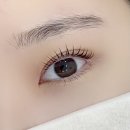 아티스트 비에스 복수점 | [복수동 속눈썹펌] 아티스트비에스 복수점 - 내돈내산 후기
