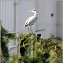 망미주공 이미지