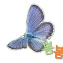 행정사사무소 봄봄 이미지