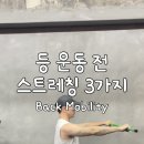 바오핏가락문정 이미지