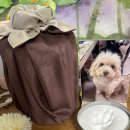 21그램 반려동물장례식장 | [21그램 남양주/남양주 강아지 장례식장] 사랑하는 동생을 보내며