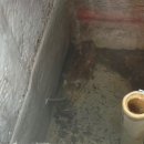 마린스타 | 9월의 쭈꾸미 배낚시 시설 후기 새벽 출발 양손가득 만선 마린스타