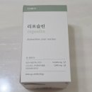 문구빵빵장지문현초점 | 식단 스트레스 줄이는 체질 리셋 루틴 ㅣ 하비티 리포슬린