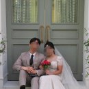 루미에스튜디오 - 야외 초록 정문 배경 촬영 후기