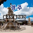 초등역사 | 우리 아이 역사 공부, 이제 걱정 끝! 경주 불국사 초등 역사 체험 투어 후기