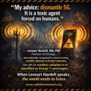 Dismantling of 5G 이미지