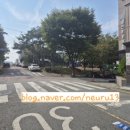 담아스킨바디 이미지