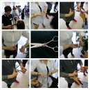 세우방송예술직업전문학교