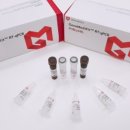 진메디팜 이미지