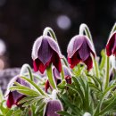 서리산농장 이미지