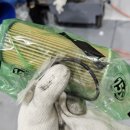 개미카센타 이미지