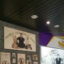 강아지 테마파크 이미지