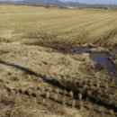 송해면-4 이미지