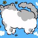 희도민박 이미지