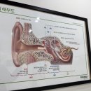 오티콘보청기 노원점 이미지