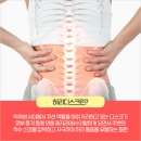 더디스크 이미지