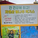 구리 동구릉역 삼계탕 맛집 이선자연약초백숙 복날 보양식 방문 후기