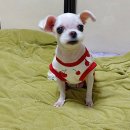 명광행정사무소 이미지