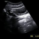 평화산부인과의원 이미지