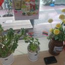 세븐일레븐 인천현대점 이미지