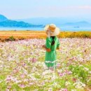 오렌지여행사주 이미지