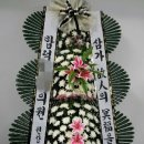 함덕연세의원 이미지