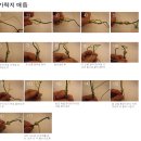 가온매듭아카데미