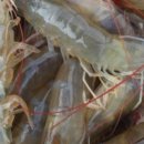 하늘부부농장 이미지