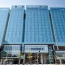 스테이42 이미지