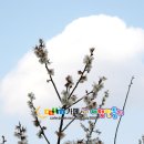 섬진농원 이미지