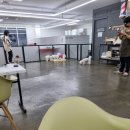 멍브라더 애견카페 이미지
