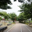 대구선동촌공원2 이미지