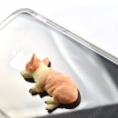 마이리틀펫 이미지