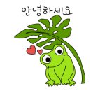 법인커피농장