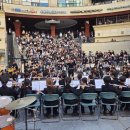 솔밭초교 이미지